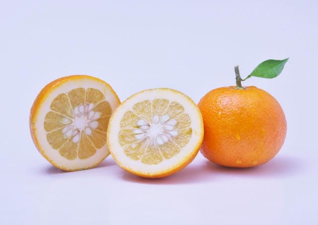 鏡餅と一緒に供えた橙の食べ方は？みかんとの違いや加工する方法